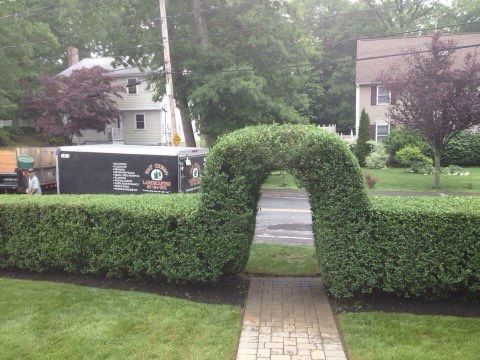 A brick walkway going through a hedge with a truck in the background