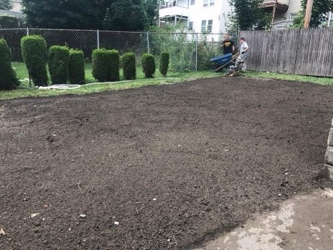 A man is working on a lawn in a backyard.