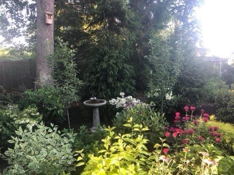A bird bath is in the middle of a garden surrounded by trees and flowers.