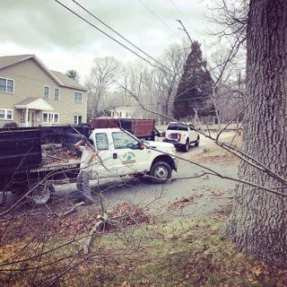 A white truck is parked on the side of the road next to a tree