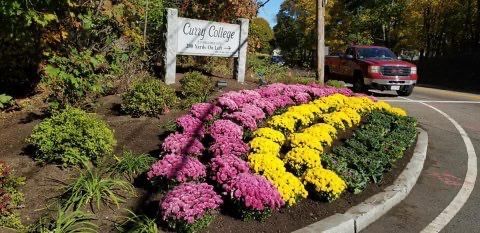 A red truck is driving down a road with flowers in the foreground and a sign in the background.