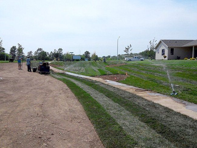 Sod installation