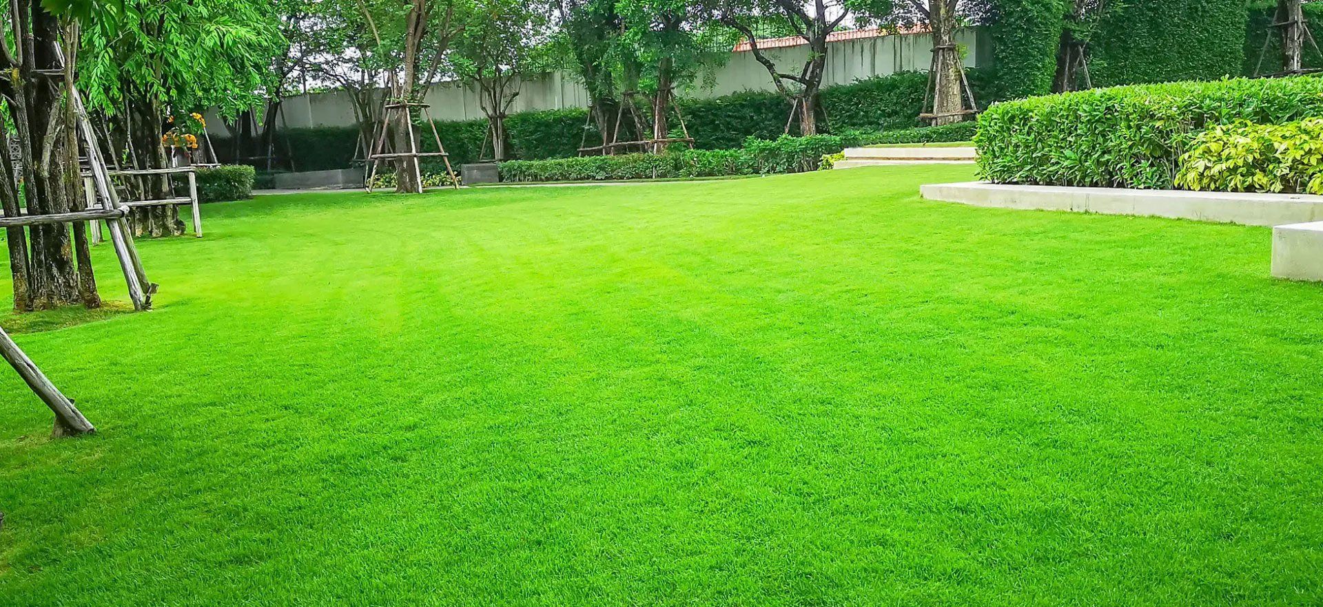 Lawn and Landscaping