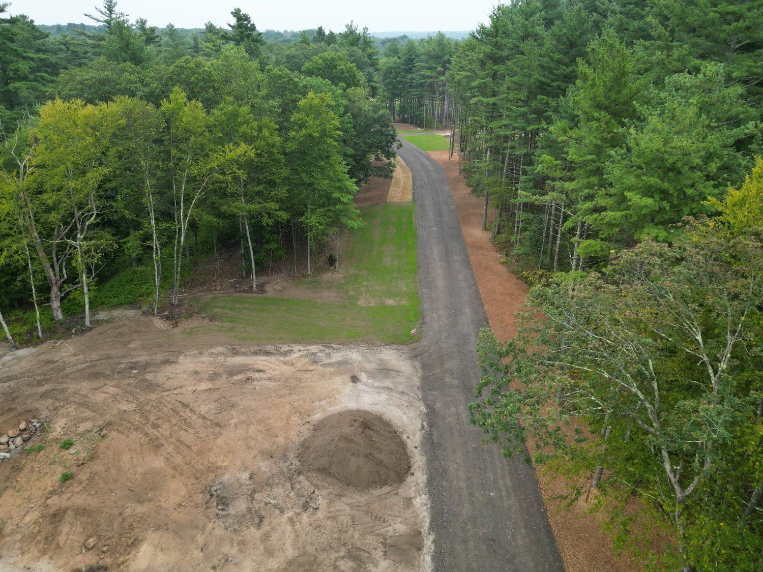 Dirt road through a forest; trees on either side with cleared area for construction.