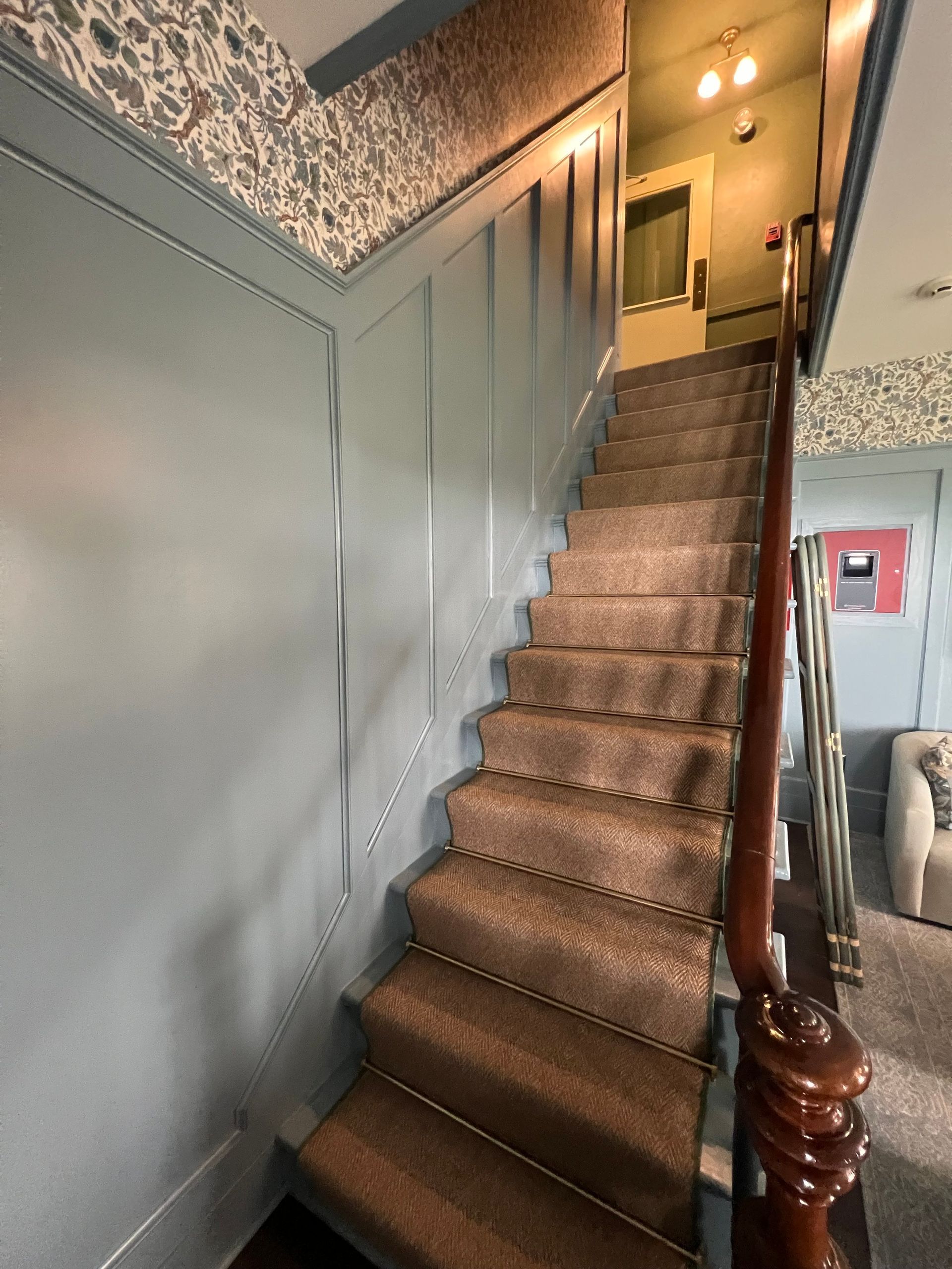 Staircase with brown carpet and dark wood handrail, painted blue-gray walls, and floral wallpapered ceiling.