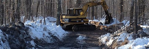 Yellow CAT excavator clearing snow in a forest.