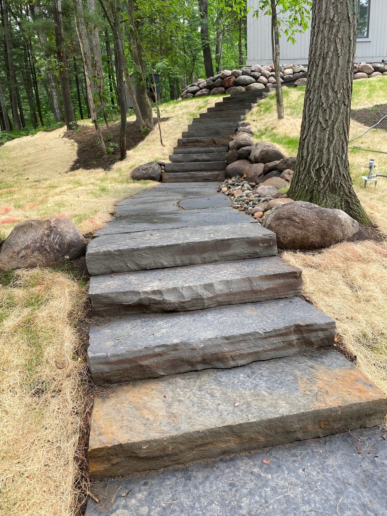 Stone steps lead uphill through a yard, surrounded by grass and trees.