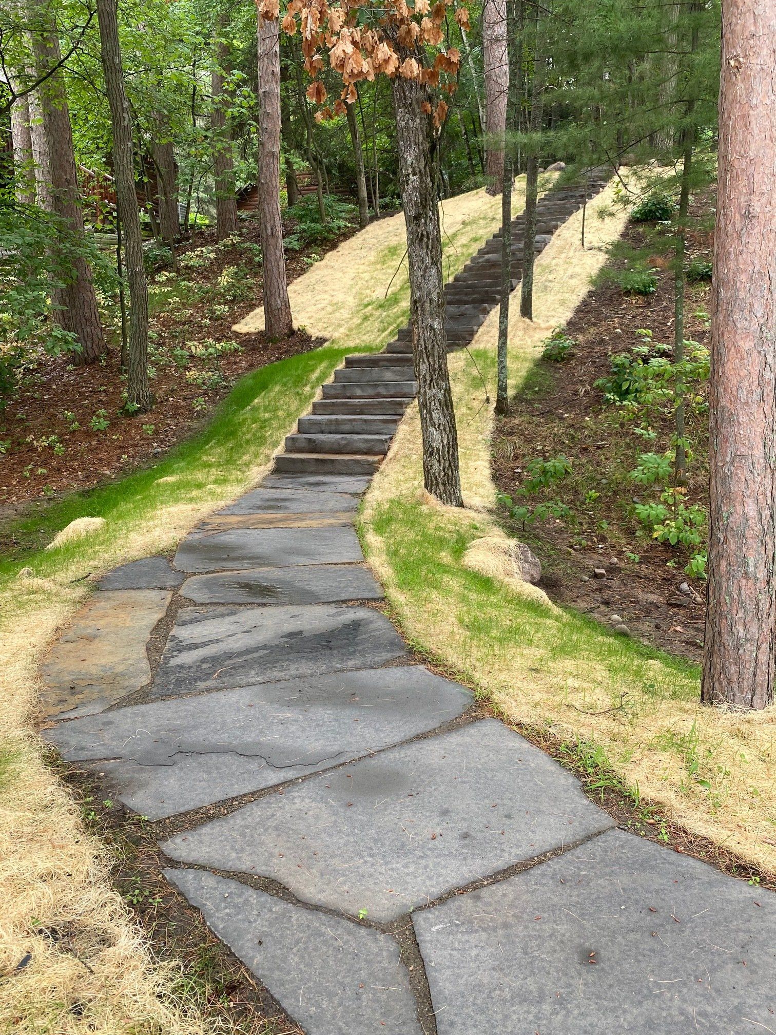 Stone path and stairs ascending a grassy hillside lined with trees.