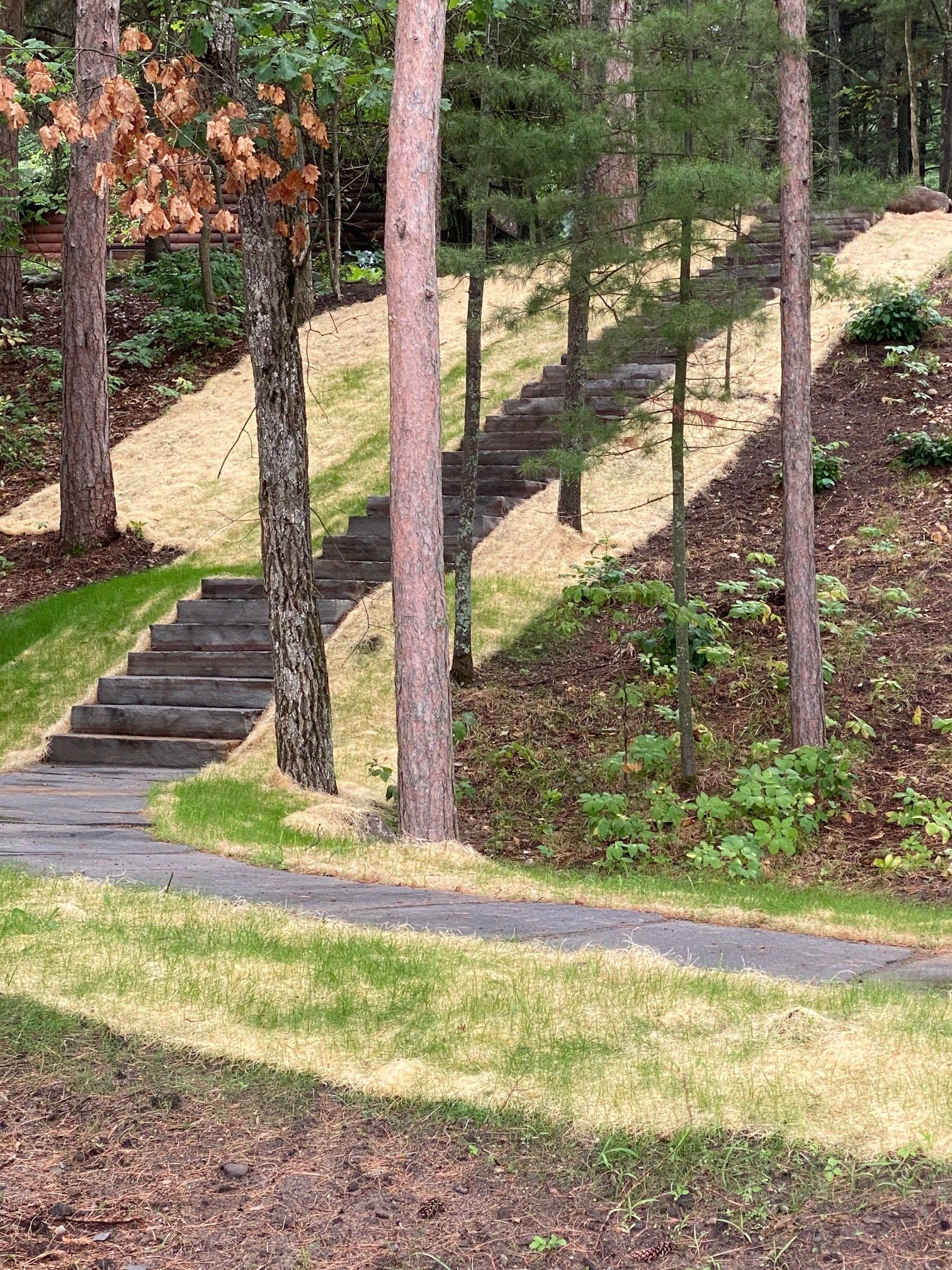 Stone steps ascend a grassy hill, surrounded by trees. A paved path leads toward the stairs.