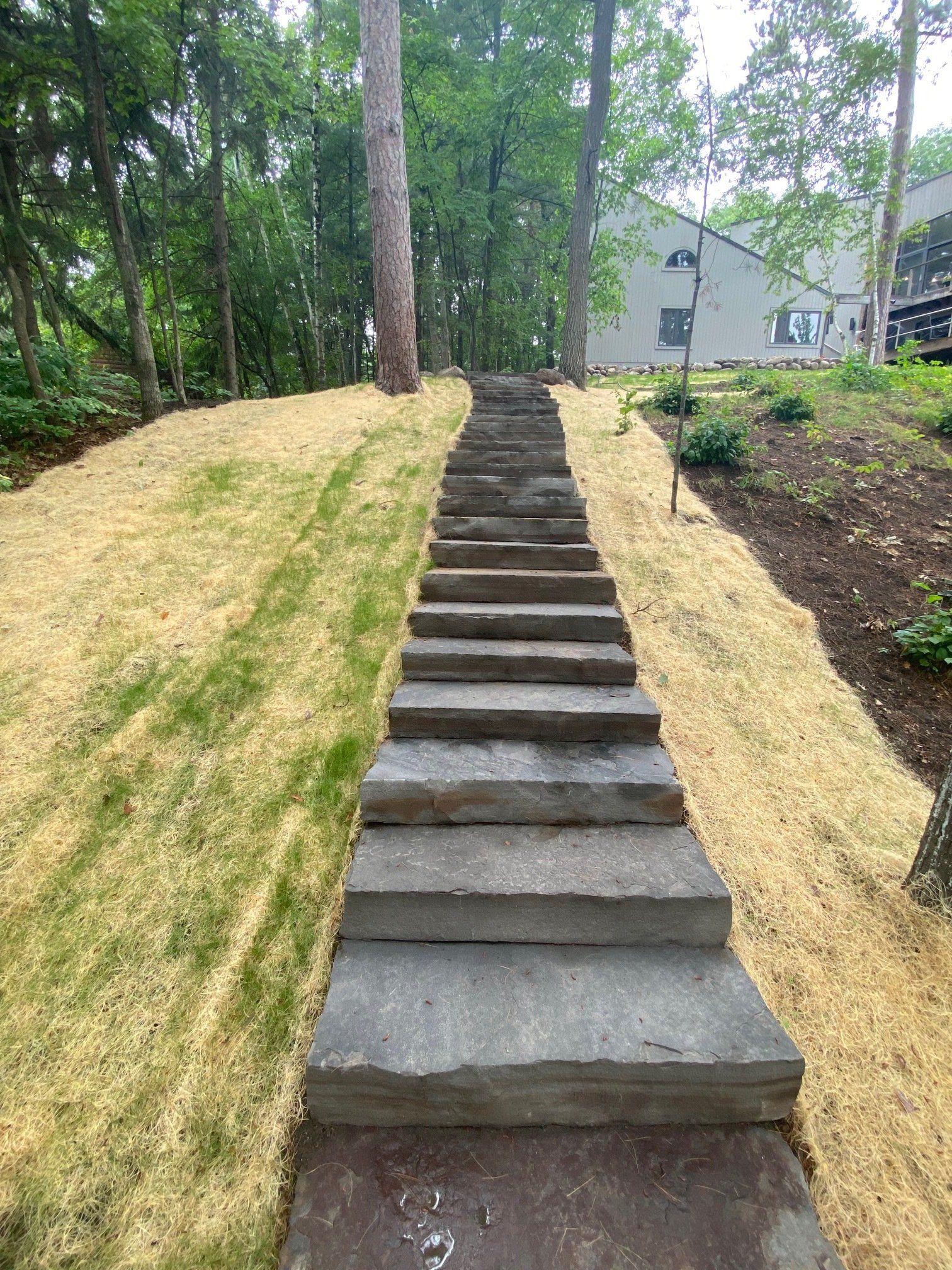 Stone steps ascend a hill, flanked by freshly seeded grass, leading to a house among trees.
