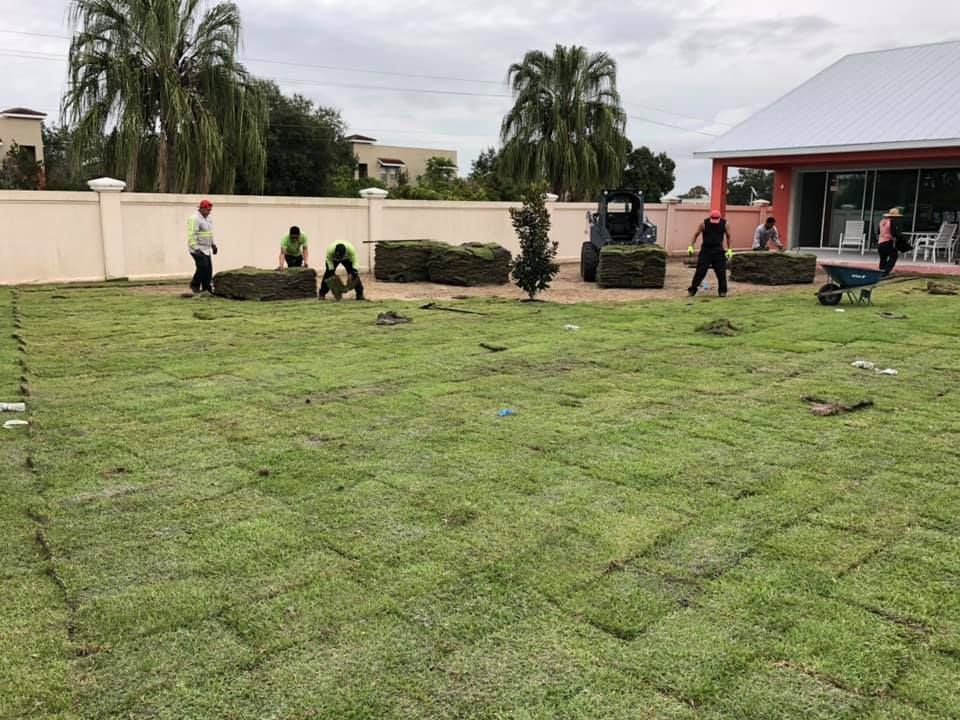 A group of people are working on a lush green lawn.