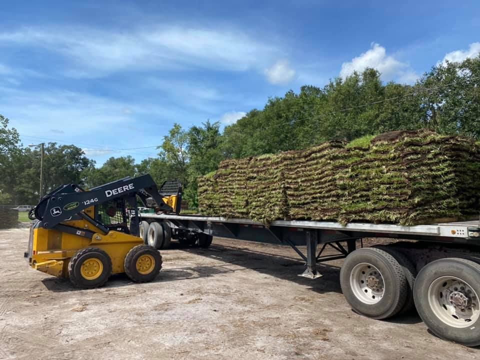 A tractor is loading grass onto a flatbed trailer.