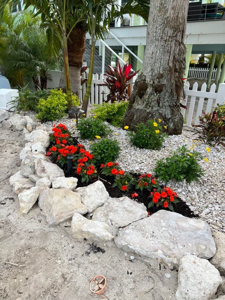 A garden with rocks , flowers , and a palm tree in the background.