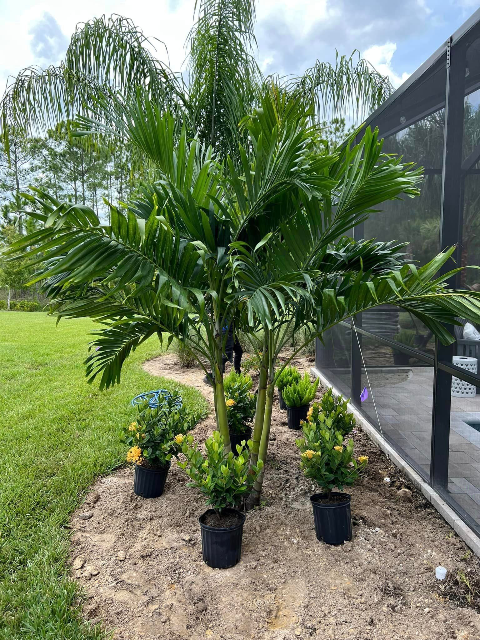 A bunch of potted plants are sitting in a garden next to a screened in porch.