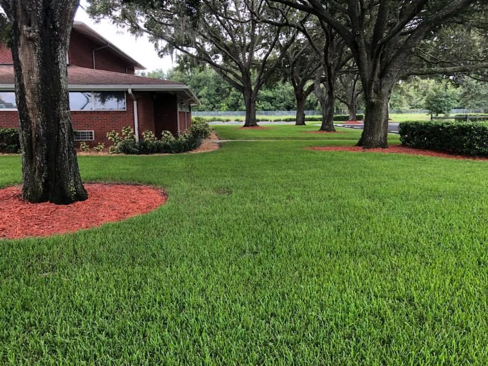 A lush green lawn with trees and a house in the background.