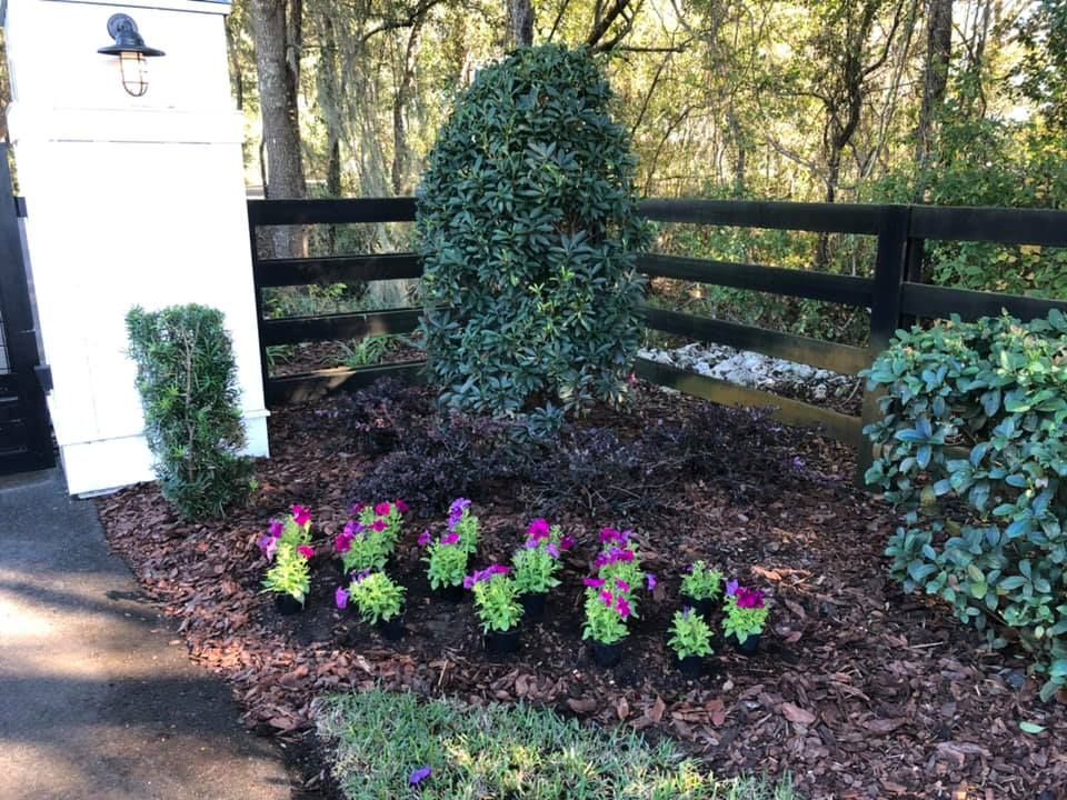 A garden with flowers and a fence in the background.