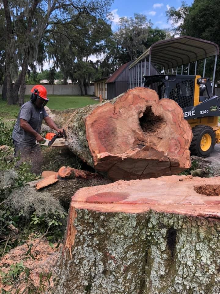 A man is cutting a tree stump with a chainsaw.