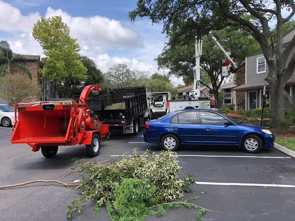 A blue car is parked in a parking lot next to a tree chipper.