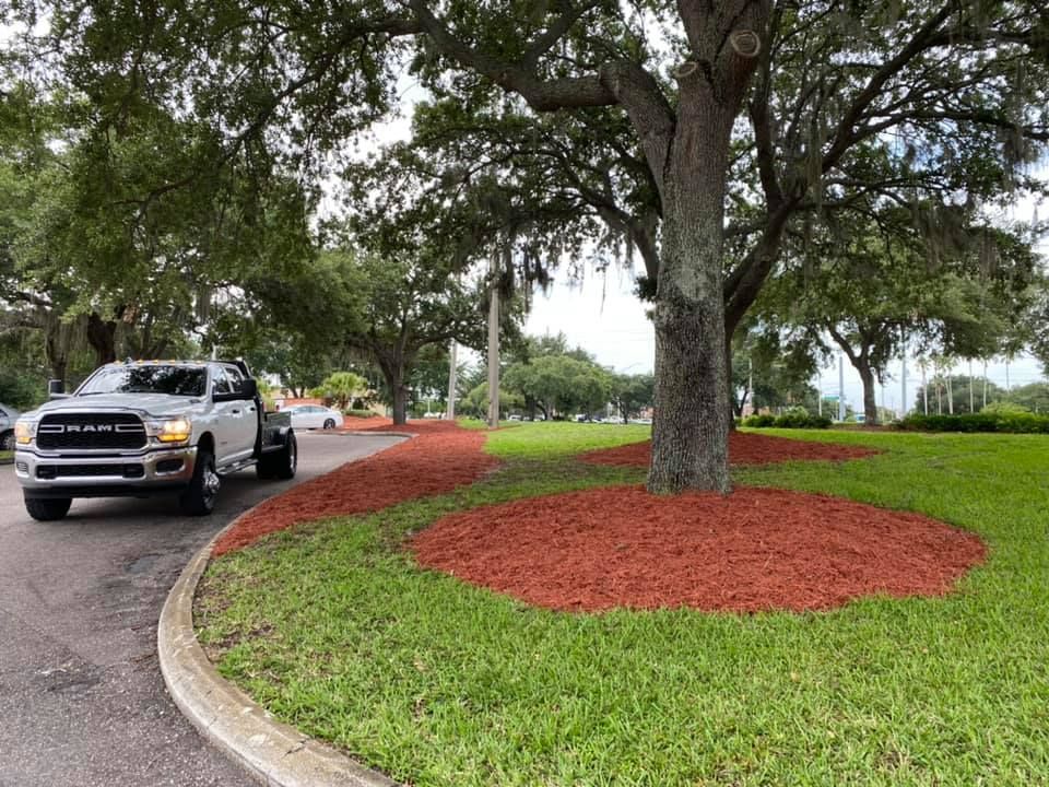 A white truck is parked on the side of the road next to a tree.