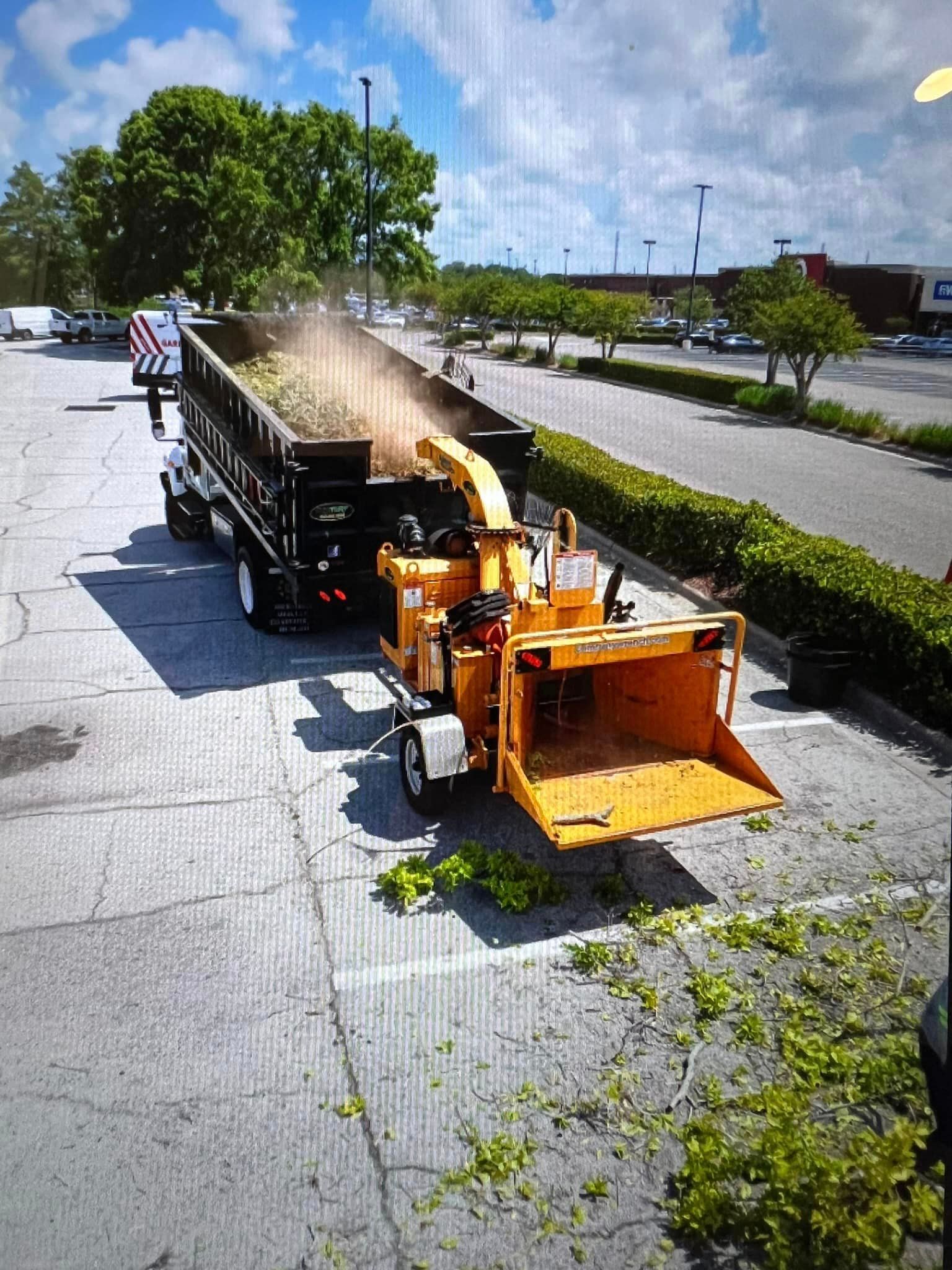 A tree chipper is being used to cut down trees in a parking lot.