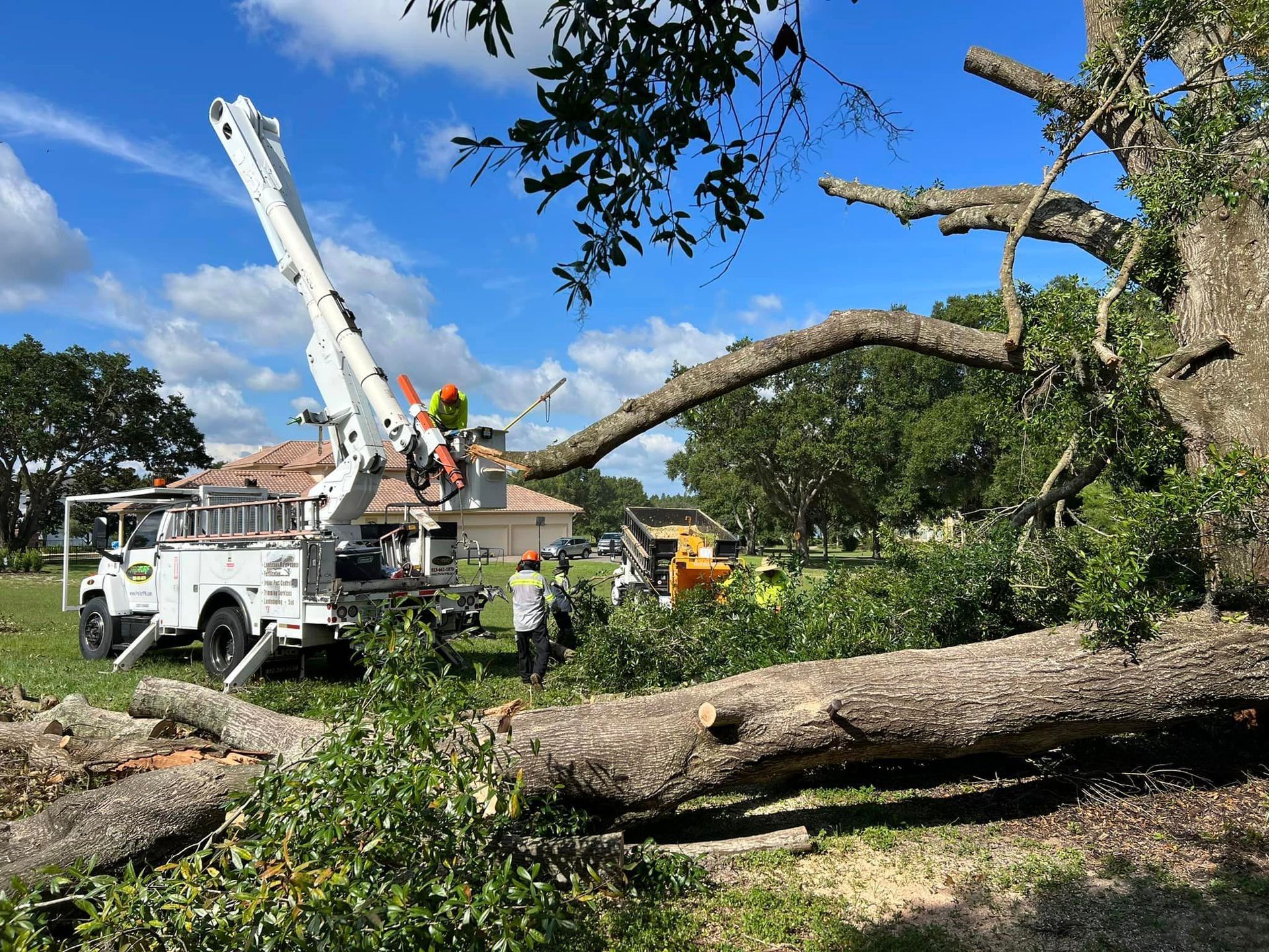 A crane is cutting down a tree in a field.