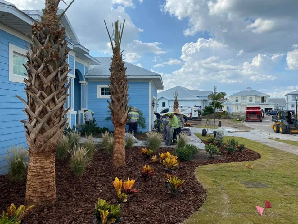 A couple of palm trees in front of a blue house.
