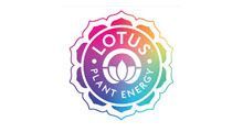 Lotus Energy Drinks-logo
