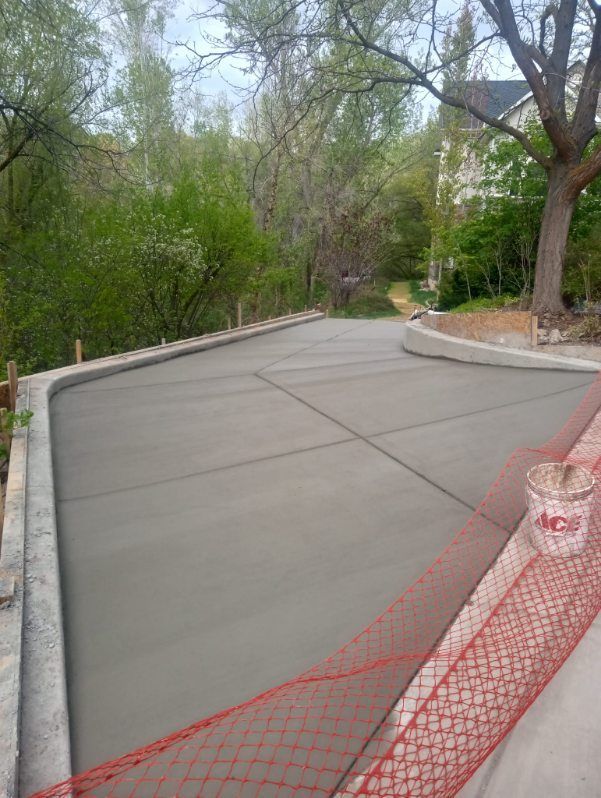 A concrete driveway is being built in the backyard of a house.