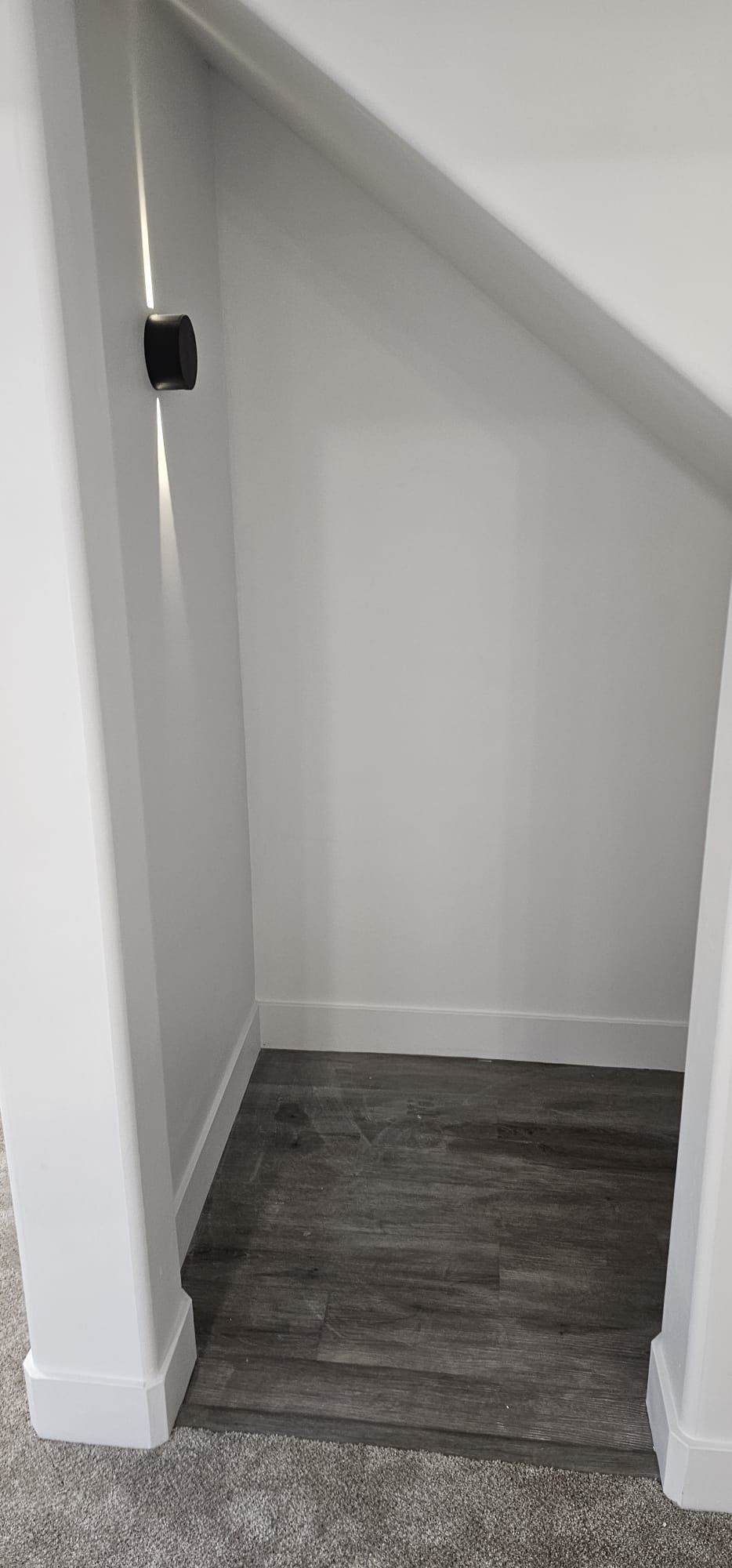A small closet under the stairs in a house.