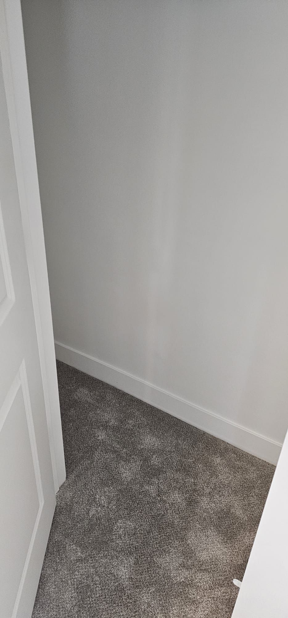 A closet with a carpeted floor and a white wall.