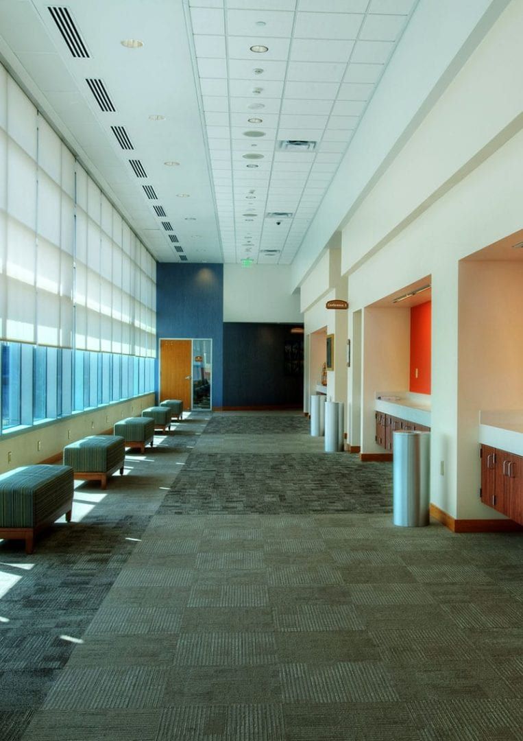 Empty modern corridor with tall windows, blue walls, and carpeted floor