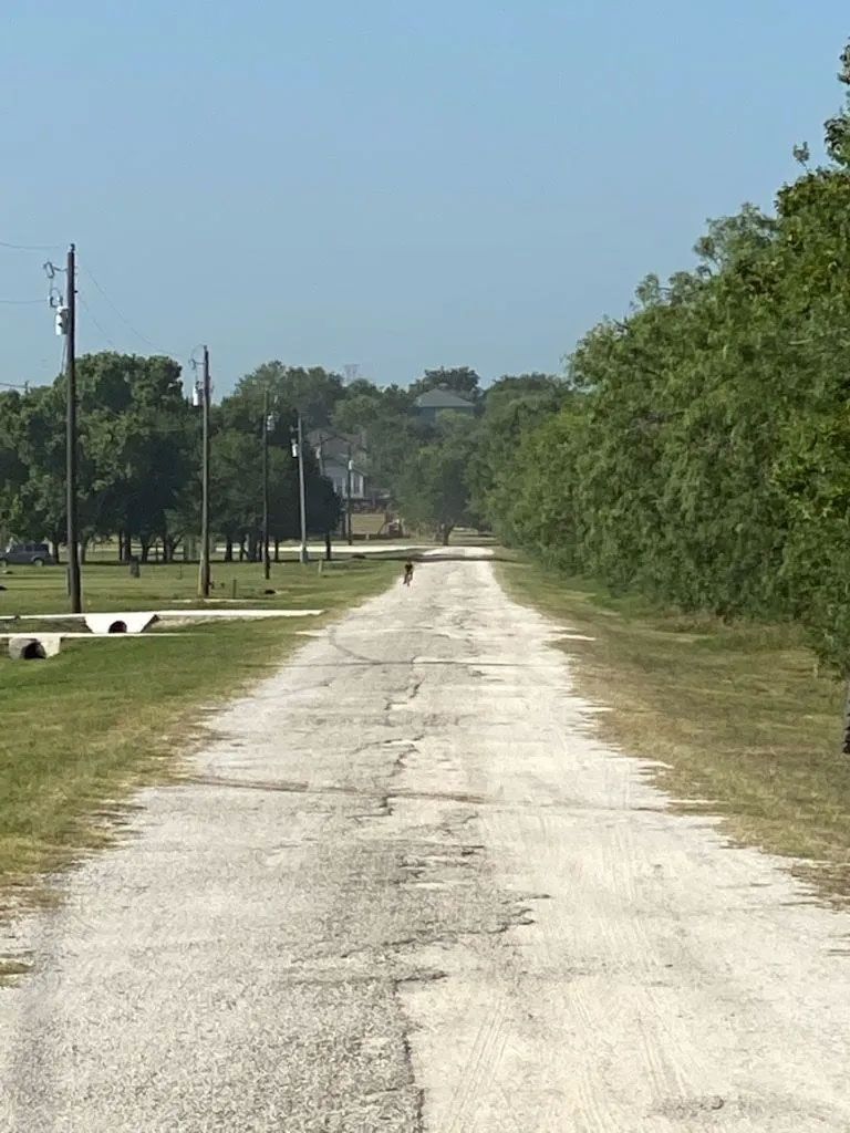 A cracked, white road leading towards a distant house, lined with trees and grass, under a blue sky.