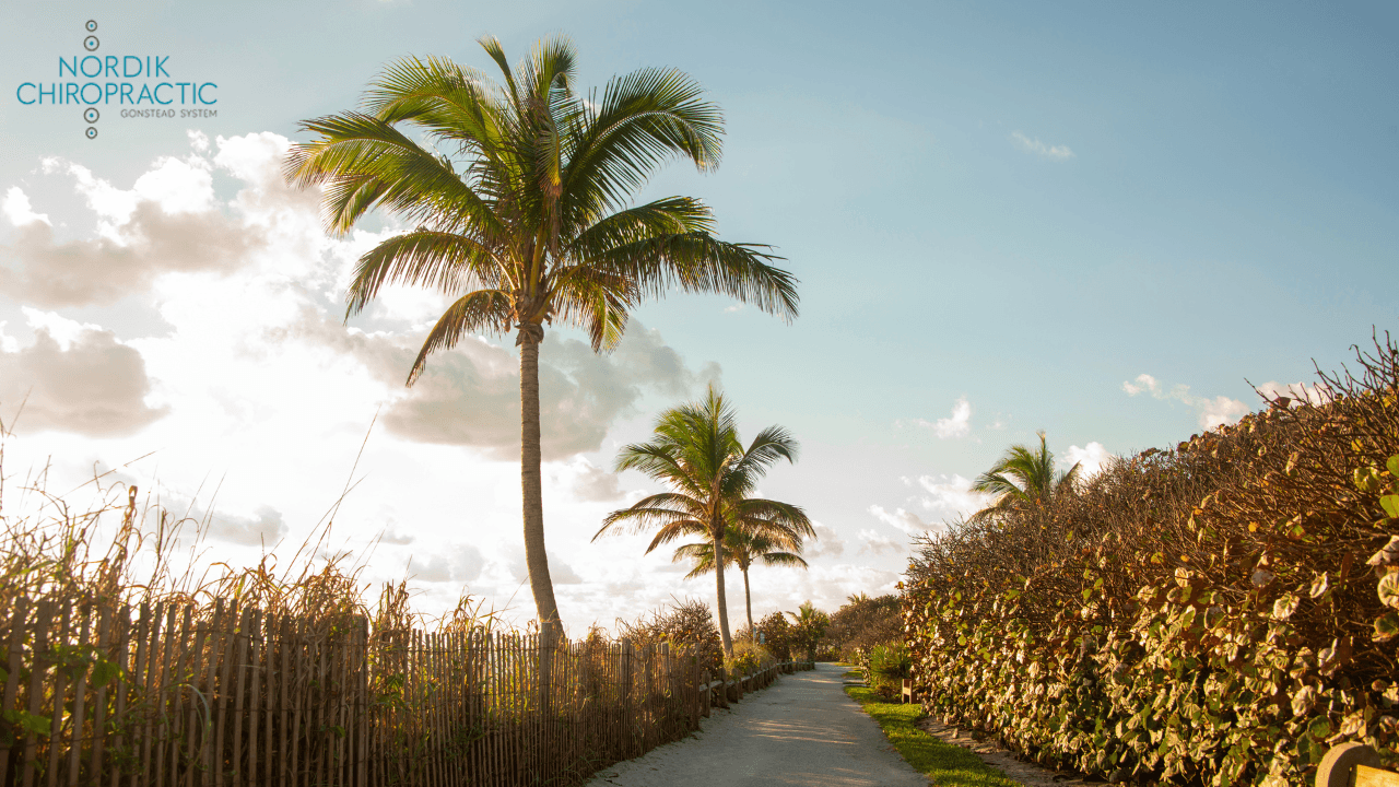 Sunlit tropical path lined with palm trees and flowering shrubs, with a resort logo in the corner