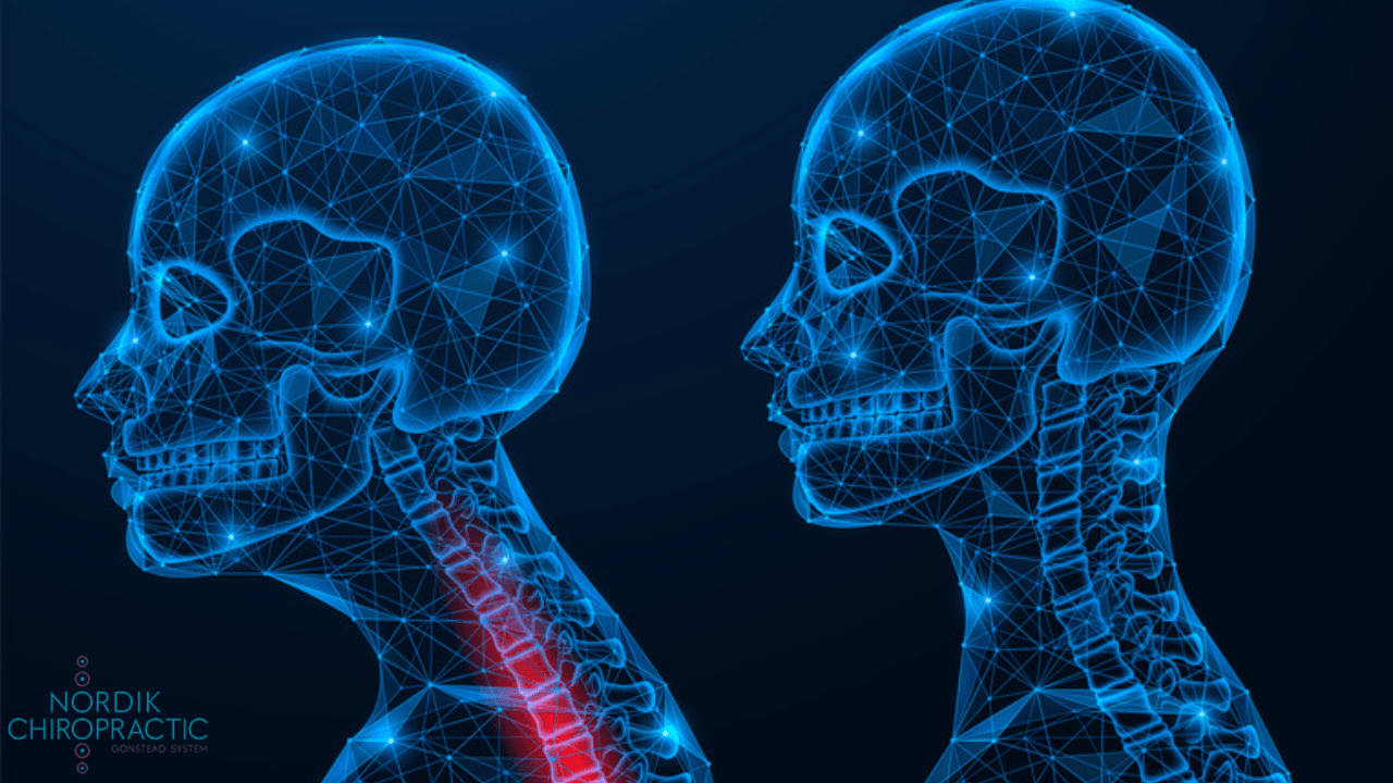 Two blue digital skull side profiles, one with a red highlighted neck spine on a dark background