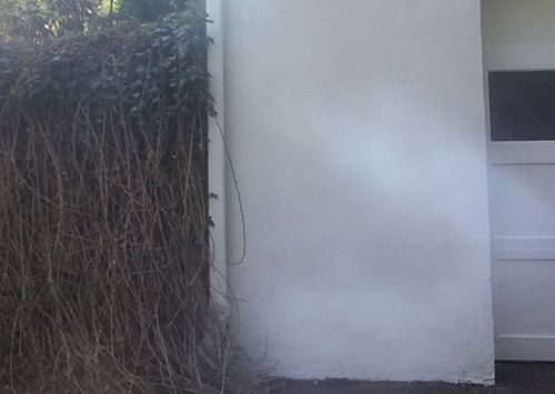 Ivy-covered wall next to a white wall, with a door visible on the right.