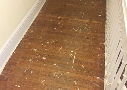 Wooden floor with white paint splatters next to a white banister and wall.