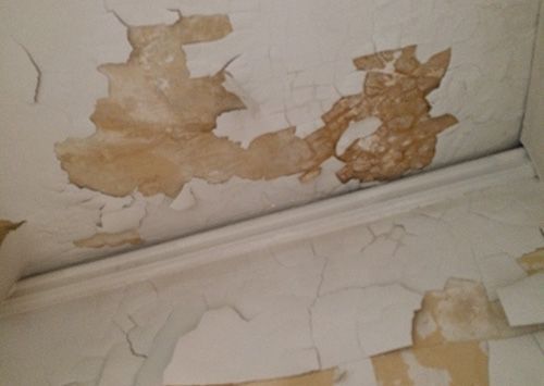 Flaking white paint on a ceiling and wall, revealing yellow-brown under layers.