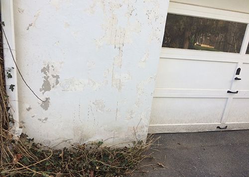 White garage door and peeling wall next to overgrown dry weeds.