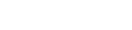 Law Office of Ronnie S Zanayed Ltd - Logo