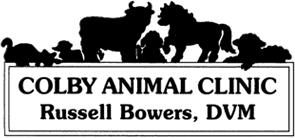 Colby Animal Clinic Animal Clinic Colby Ks