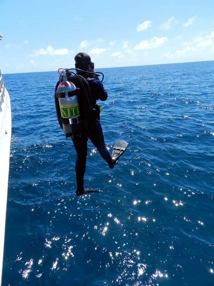 Bermuda Triangle Dive Shop Gallery Asheville, NC