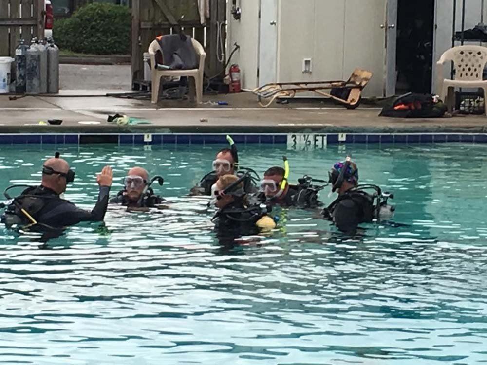 Bermuda Triangle Dive Shop Gallery Asheville, NC