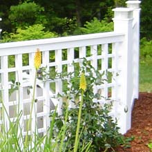 A white lattice fence with flowers growing behind it.