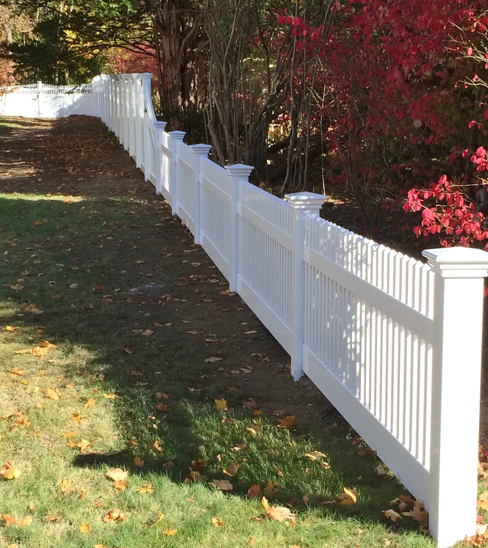 A white fence with red flowers in the background