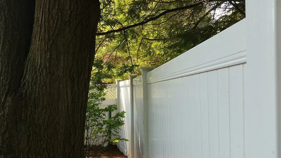 A white fence with a tree in the background.