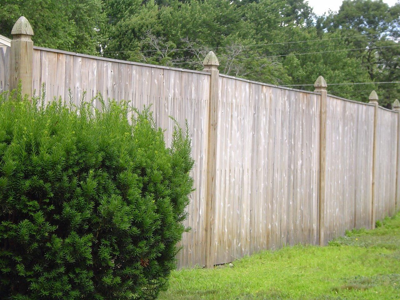 A wooden fence with a bush in front of it