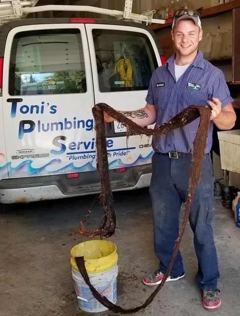 Plumber holding a long, brown root removed from a drain, standing in front of his service van.