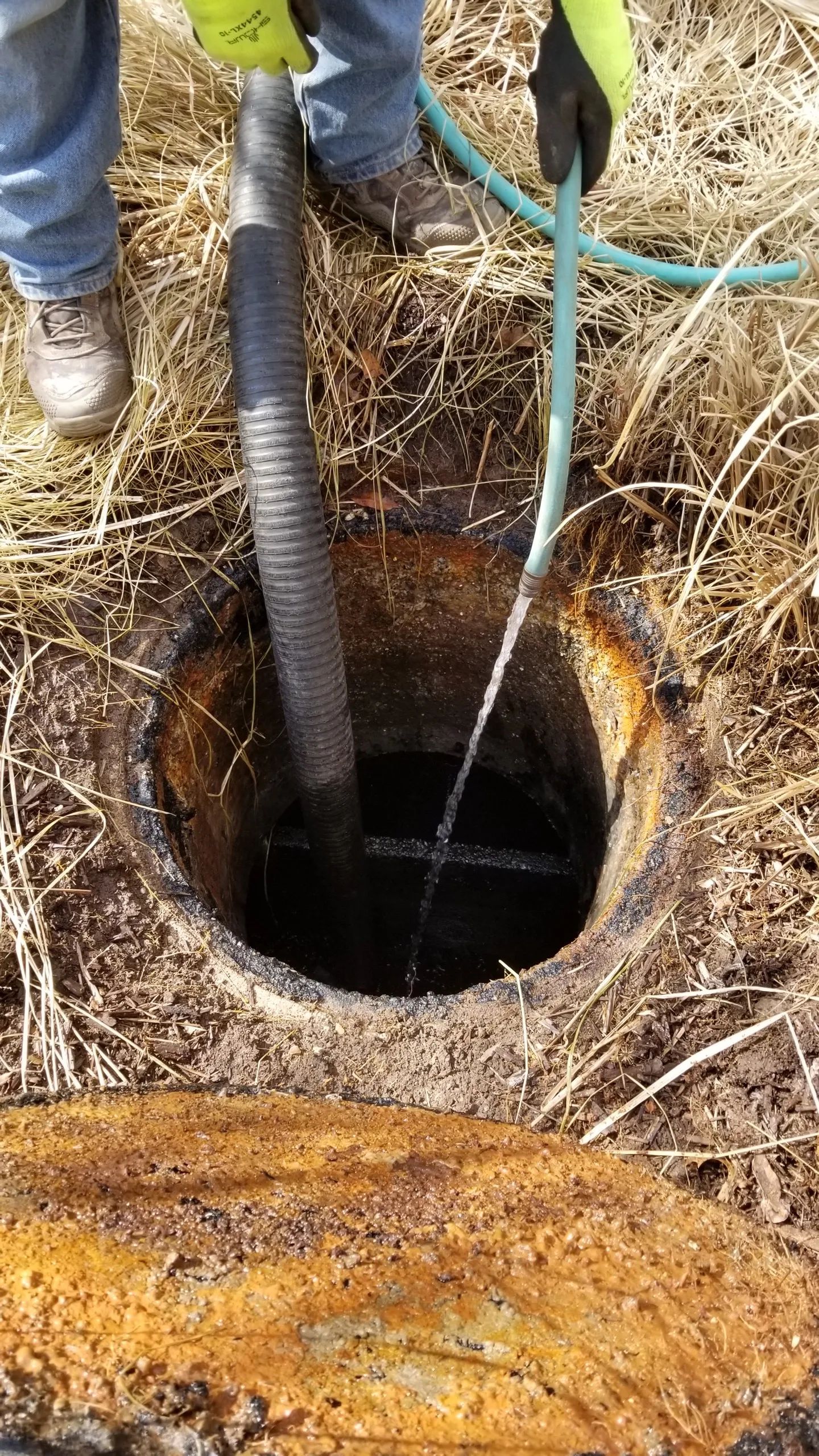 Person vacuuming a septic tank opening with a hose in a grassy area.