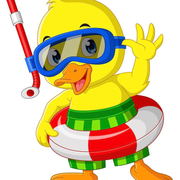 Ozark Pool & Spa - logo