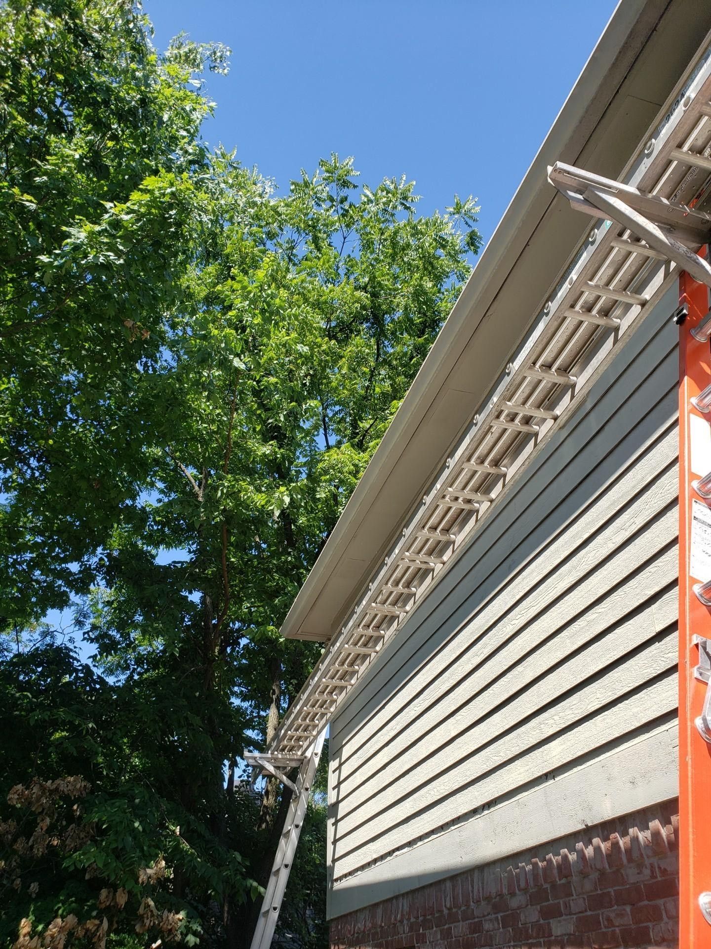Ladder leaning against a house with tan siding and a dark green roof, under a bright blue sky.
